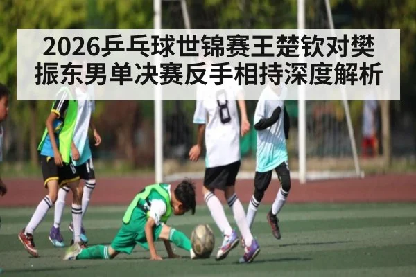 2026乒乓球世锦赛王楚钦对樊振东男单决赛反手相持深度解析